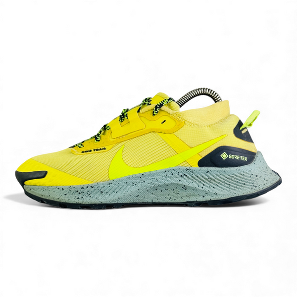 NIKE PEGASUS TRAIL 3 GORE-TEX