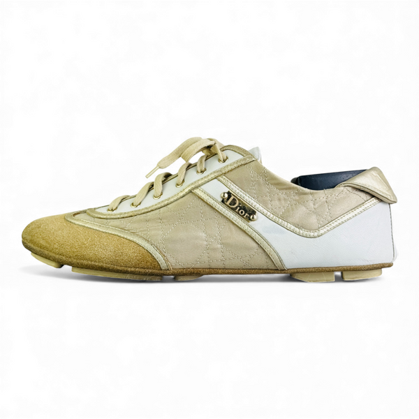 DIOR GOLD DETAILES TRAINER